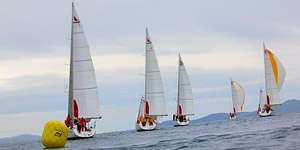 Regatta